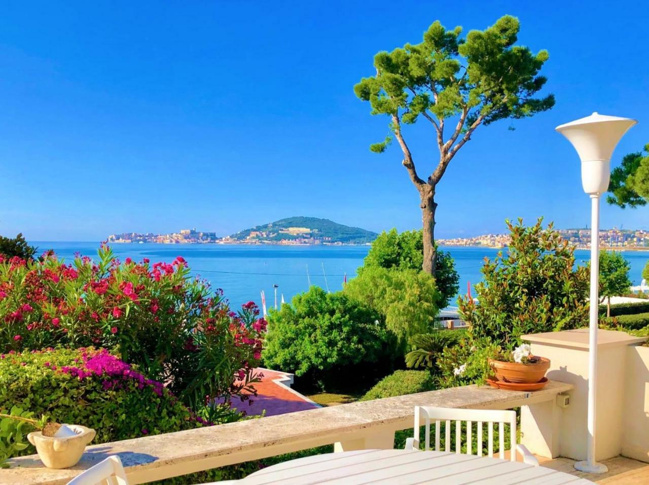 Magnolia * Formia