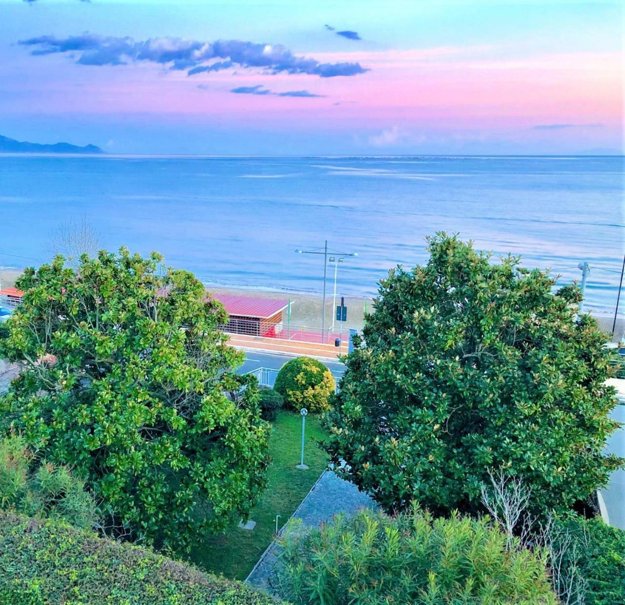 Magnolia Guest house